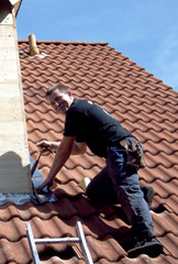 Mitarbeiter