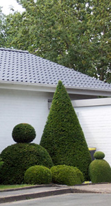 Fassade